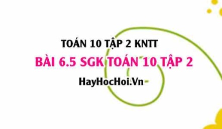 Bài 6.5 SGK Toán 10 tập 2 Kết nối tri thức